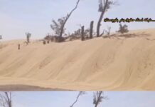 تشدید بحران ریزگردها در پی قطع درختان گز در زهک و نگرانیها از افزایش پیامدهای زیستمحیطی و نقض تعهدات بینالمللی