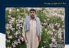 احراز هویت نیروی بومی کشتهشده در درگیری سراوان/ یک نیروی بومی دیگر مجروح شد