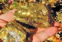 افزایش نگرانی ساکنان دامنههای مادپتی از پیامدهای زیستمحیطی معدن طلای تفتان؛ تخریب چشمهها، آسیب به اراضی و ترکخوردگی منازل