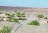 یک ماه قطع اینترنت در اسلامآباد سرباز؛ دانشآموزان برای دسترسی به شبکه به کوهها پناه میبرند
