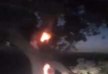 آتشزدن درختان بنه برای تولید زغال؛ هشدار اهالی چاهداود نسبت به نابودی پوشش جنگلی در کورین زاهدان